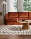 Living Room Rugs